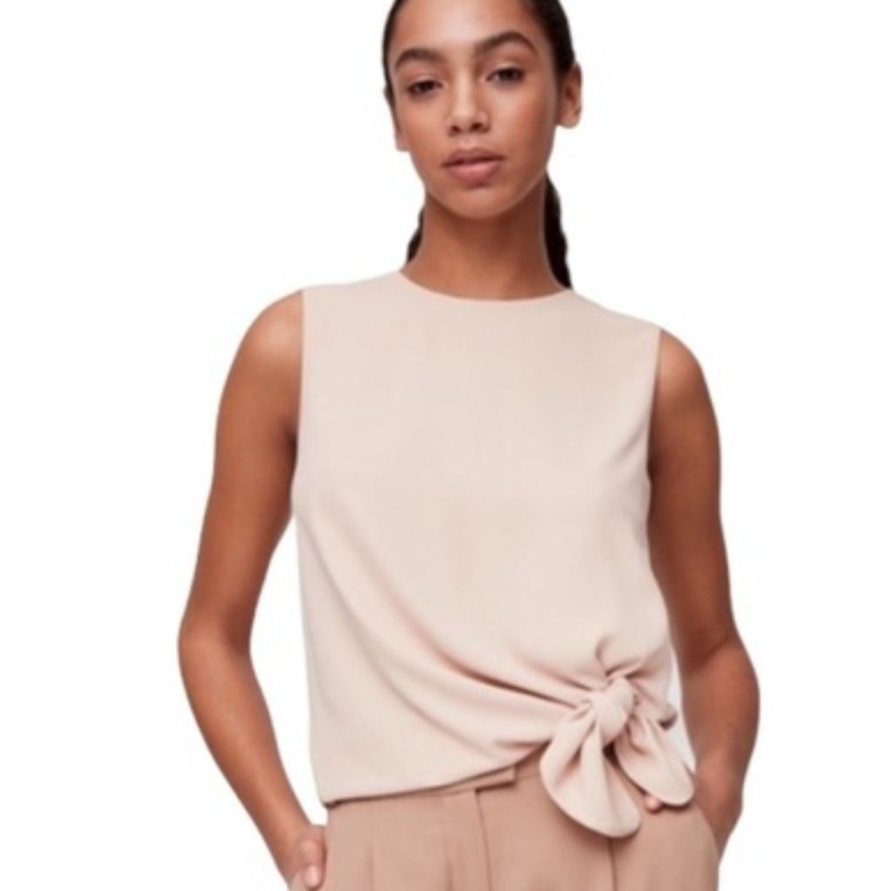 Babaton Hopkins Blouse in Blush.